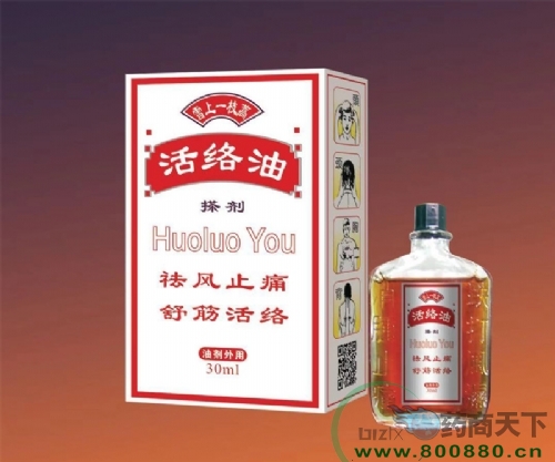 ����������ʵҵ���޹�˾-ѩ��һ֦��-������