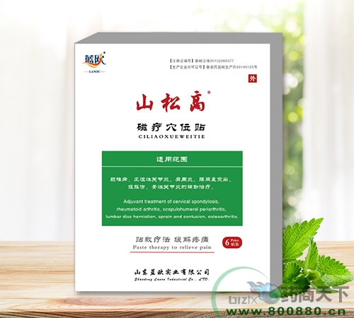 ɽ�ɸߴ���Ѩλ������|˵����