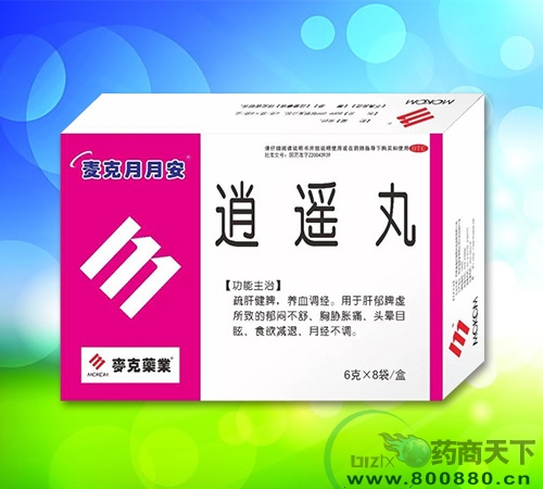 ��ң������|˵����