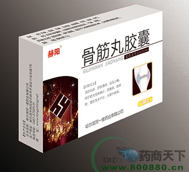 �ǽ��轺������|˵����