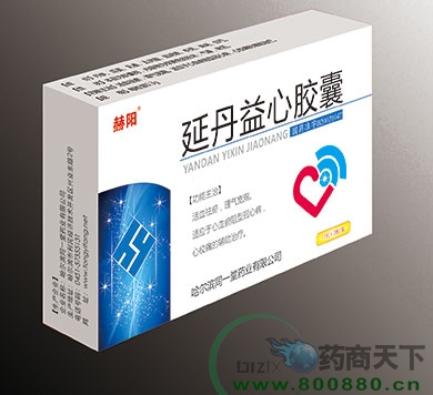 �ӵ����Ľ�������|˵����