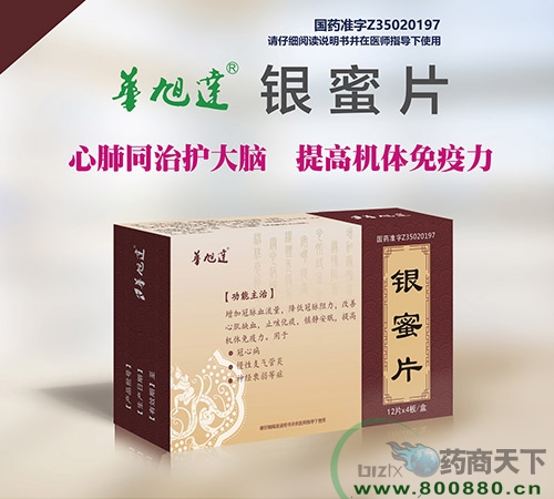 ���������Ƭ����|˵����