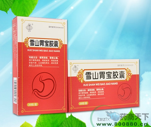 ѩɽθ����������|˵����