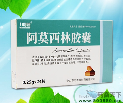 ��Ī���ֽ�������|˵����