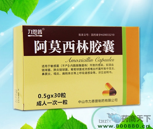 ��Ī���ֽ�������|˵����