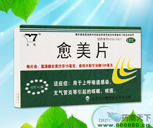 ����Ƭ ����|˵����