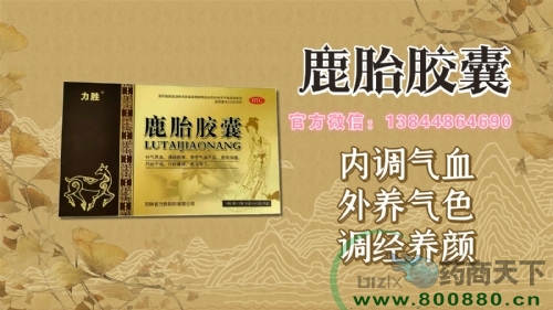 ¹̥���ҿ��Ե����¾����������