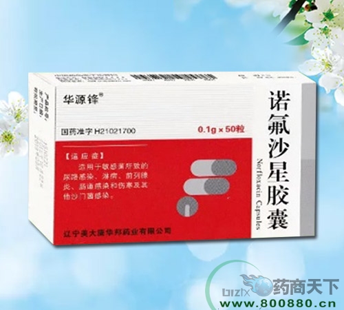 黑龙江省尚左药业有限公司-诺氟沙星胶囊