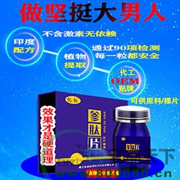 �ڲ�����Ƭ