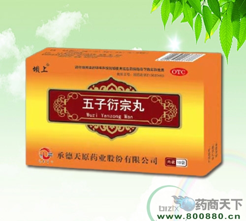 ��������������|˵����