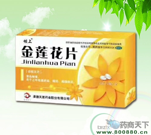 ������Ƭ����|˵����