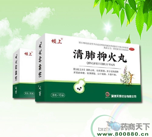 ����ֻ�������|˵����