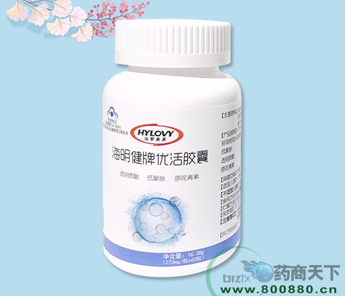 ���������Ż��