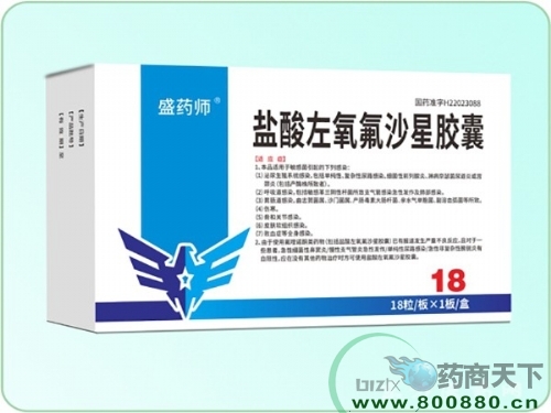 吉林省盛瑞药业有限公司-盐酸左氧氟沙星胶囊