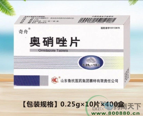 ������Ƭ