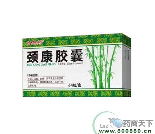 ���ִ���ҩҵ�ɷ����޹�˾-��������