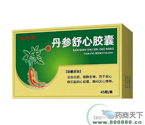 ���ִ���ҩҵ�ɷ����޹�˾-�������Ľ���