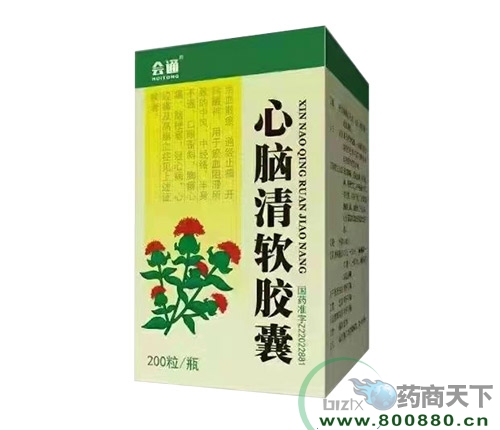 ���ִ���ҩҵ�ɷ����޹�˾-������������