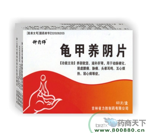 �������Ƭ