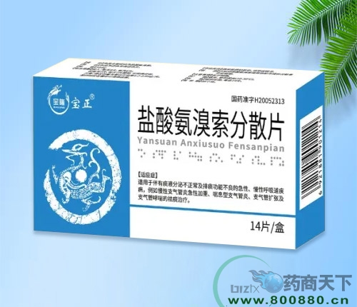 ���������ͱ�¡ҽҩ���޹�˾-���ᰱ������ɢƬ