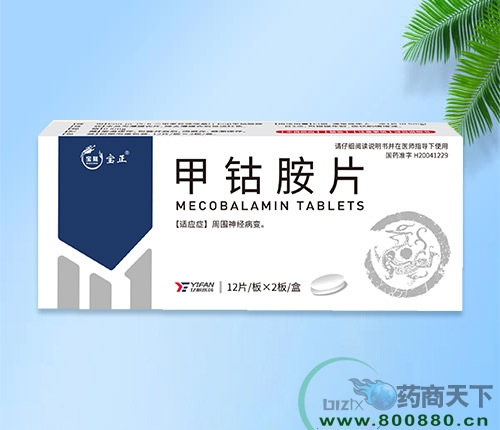 ���������ͱ�¡ҽҩ���޹�˾-���ܰ�Ƭ