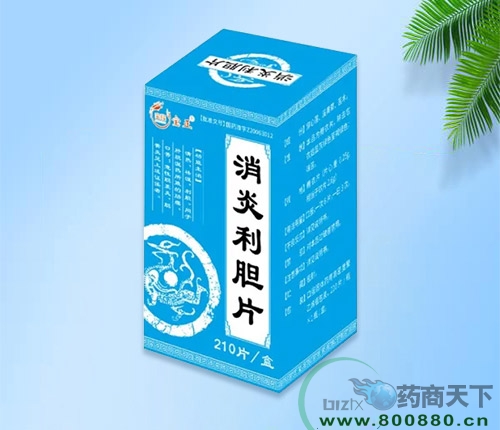 ���������ͱ�¡ҽҩ���޹�˾-��������Ƭ