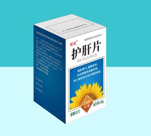 ����Ƭ����|˵����