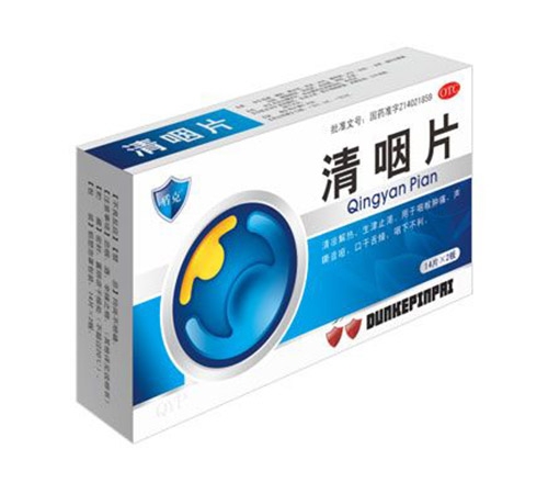 ����Ƭ����|˵����