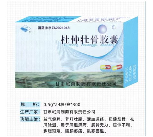 ��������ҽҩ���޹�˾-����׳�ǽ���