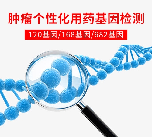 肿瘤个性化用药基因检测(120基因)