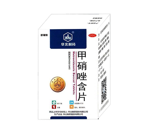 ������Ƭ����|˵����