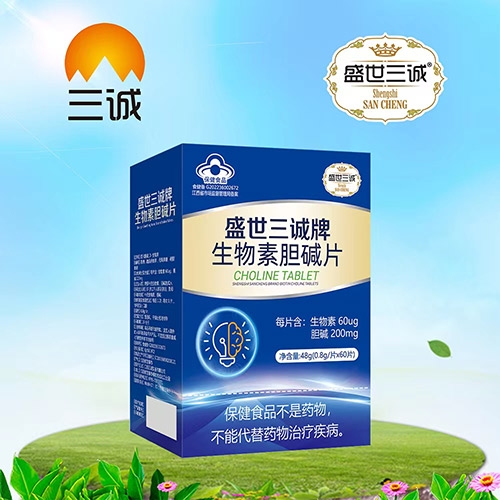 ��������ʵҵ���޹�˾-ʢ�������������ص���Ƭ