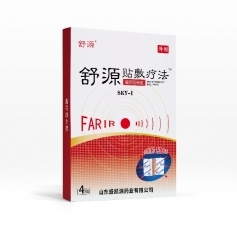 ɽ��ʢ��Դҩҵ���޹�˾-��Դ ���ưͲ��� 4����ҩ���ƴ��ӹ����� ����ֱ��