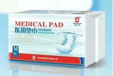 ɽ��ʢ��Դҩҵ���޹�˾-ҽ�õ��