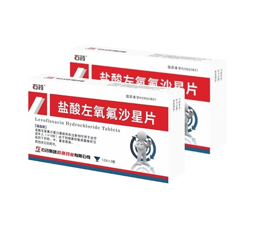 ����������ɳ��Ƭ����|˵����