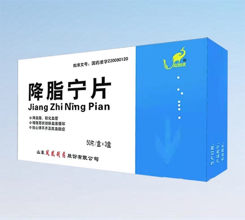 ɽ�������ҩ�ɷ����޹�˾-��֬��Ƭ