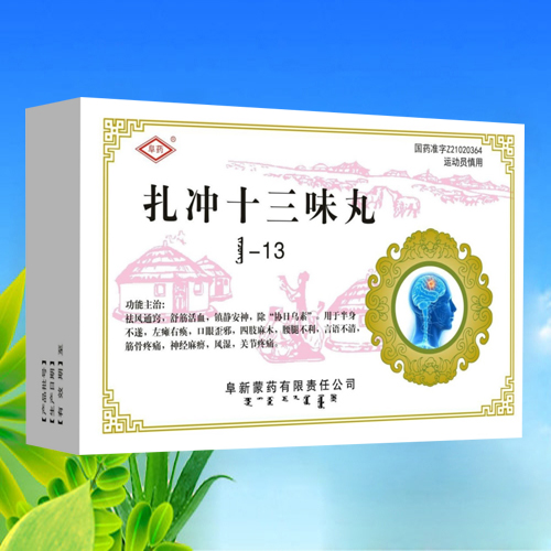 �����仪ҽҩ�������޹�˾-����ʮ��ζ��