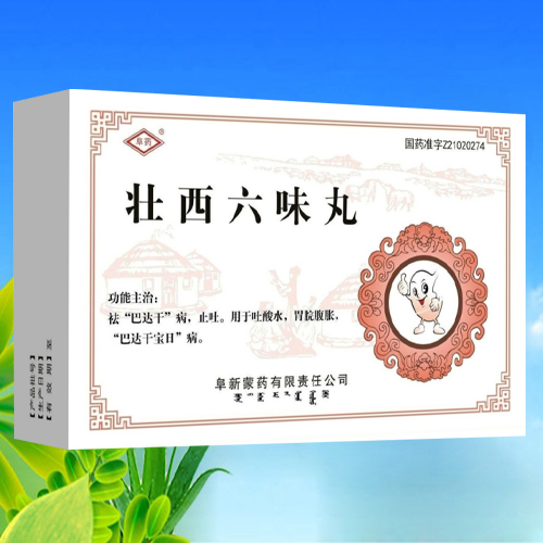 �����仪ҽҩ�������޹�˾-׳����ζ��