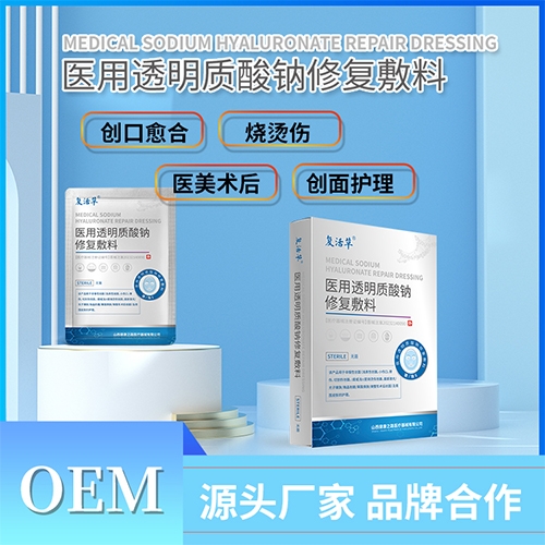 ɽ����������ҽ�ƿƼ����޹�˾-ҽ��͸���������޸����� 