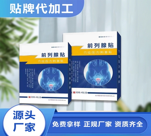 -ǰ���ٱ�����oem����