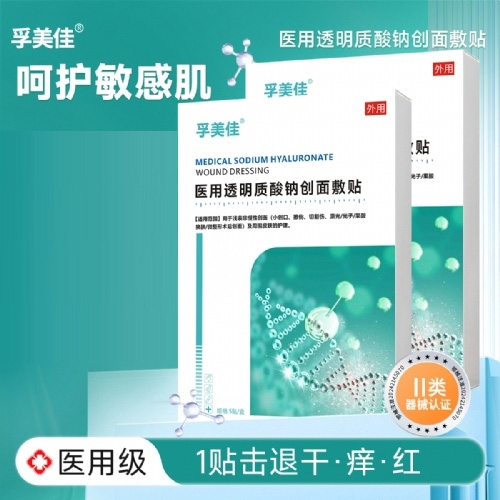 �㶫�ڻ�ҩҵ���޹�˾-������  ҽ��͸�������ƴ������