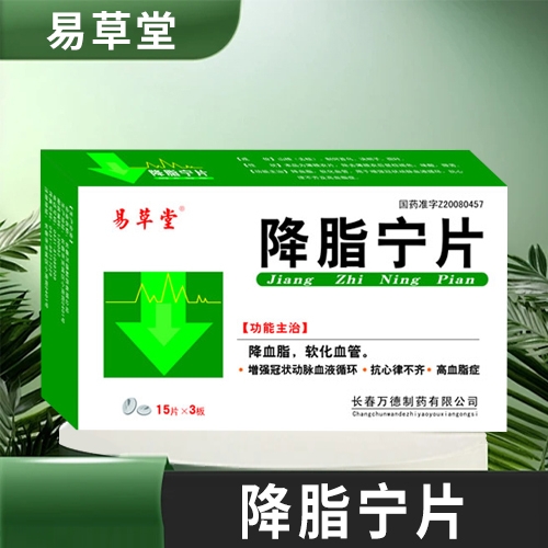 ����ʡǧ��ҽҩ���޹�˾-��֬��Ƭ