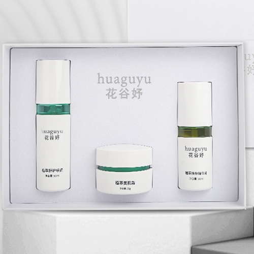 �������������Ƽ����޹�˾-�����ܽ��˪��װ