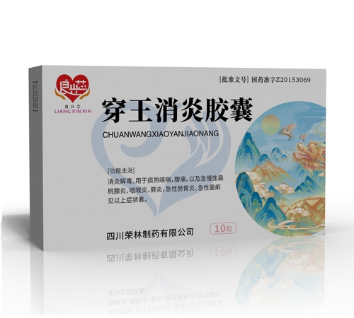 �Ĵ�������ҩ���޹�˾-����о �������׽��� 10��