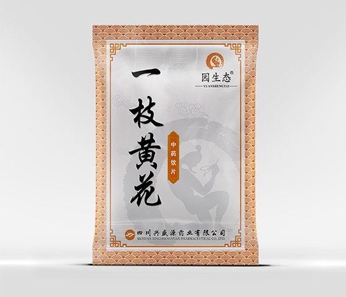 �Ĵ���ʢԴҩҵ���޹�˾-һ֦�ƻ�