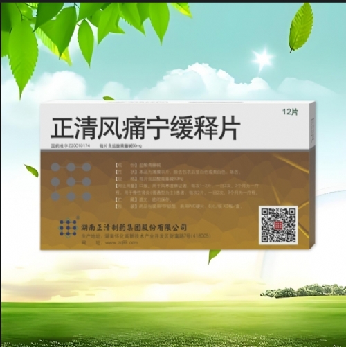 ����������ҩ���Źɷ����޹�˾-�����ʹ������Ƭ