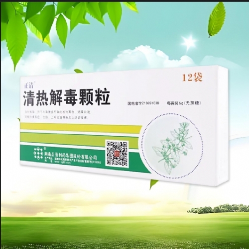 ����������ҩ���Źɷ����޹�˾-���� ���Ƚⶾ����12��