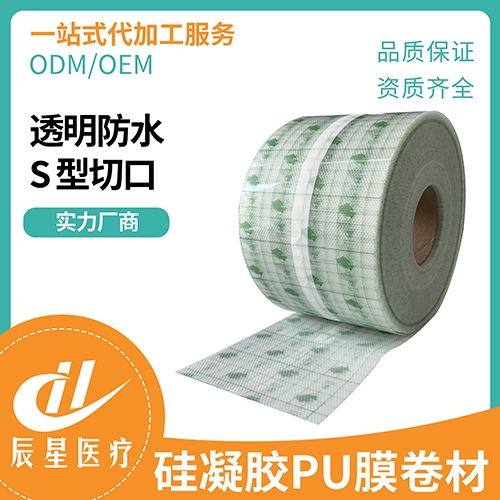 ɽ������ҽ�ƿƼ����޹�˾-������puĤ����