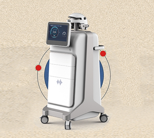 ��Ƶ������RZPE01A