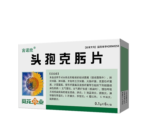 ����ҩҵ����ҽҩ���޹�˾-��ŵ�� ͷ�߿��Ƭ